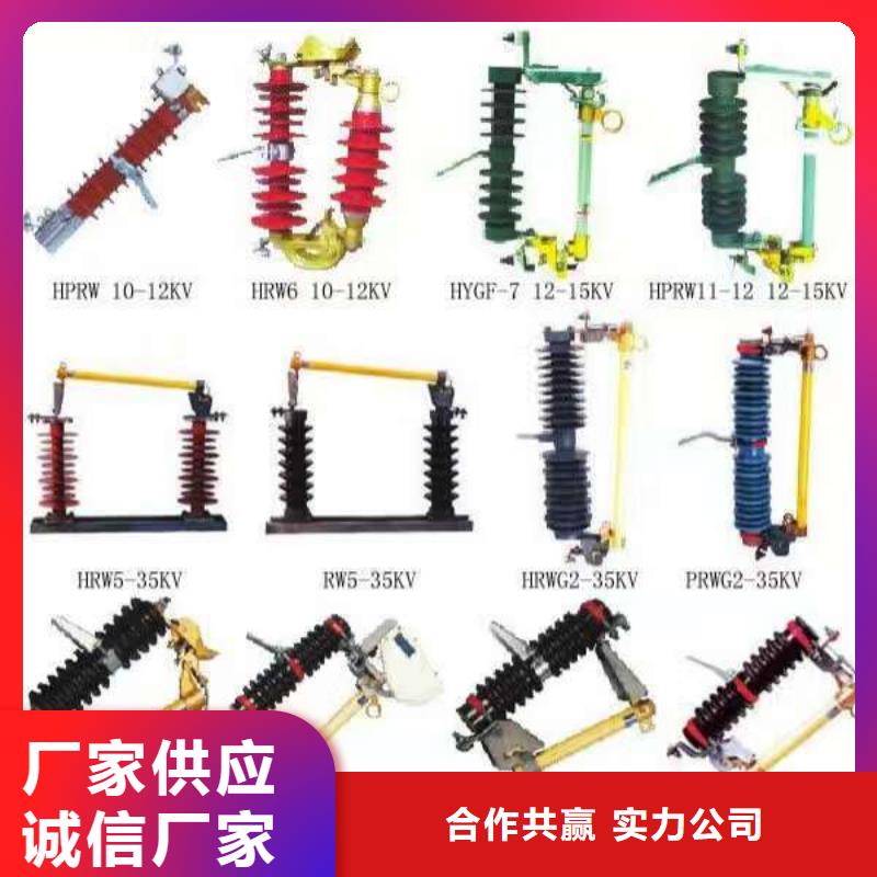 熔断器跌落式熔断器厂家认准大品牌厂家