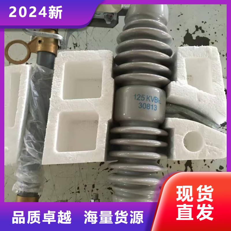 熔断器-【避雷器】实力公司