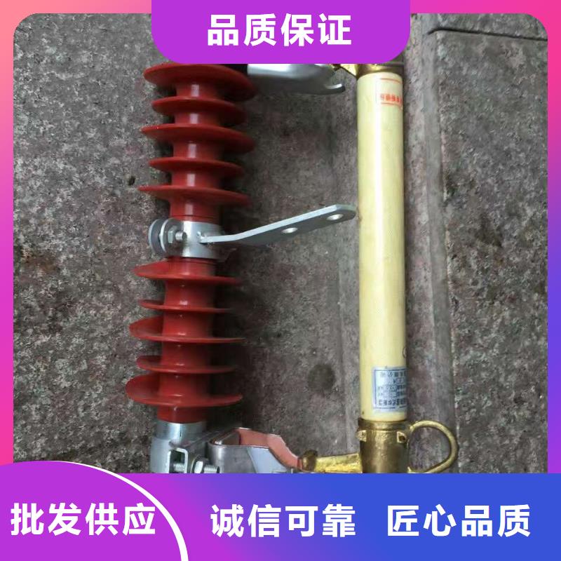 熔断器 支柱绝缘子出货及时