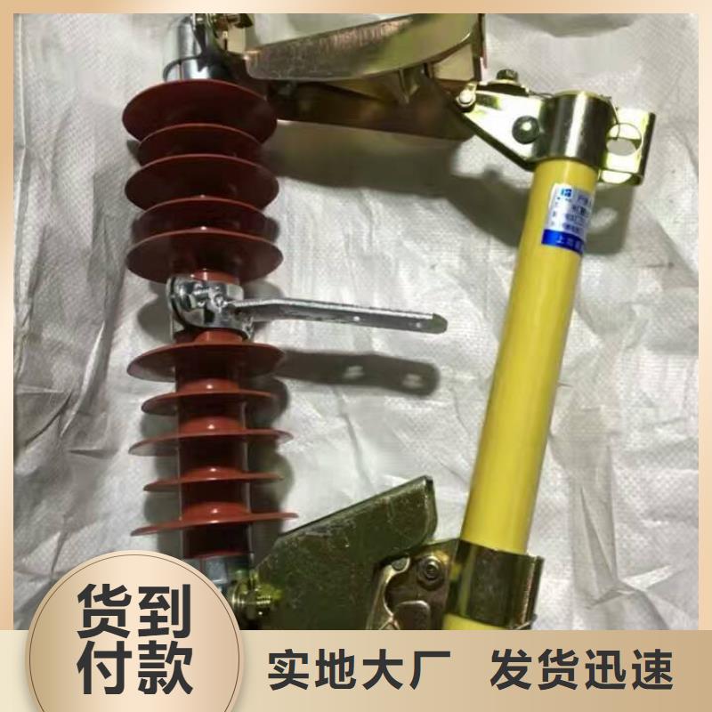 熔断器_金属氧化物避雷器专注细节专注品质