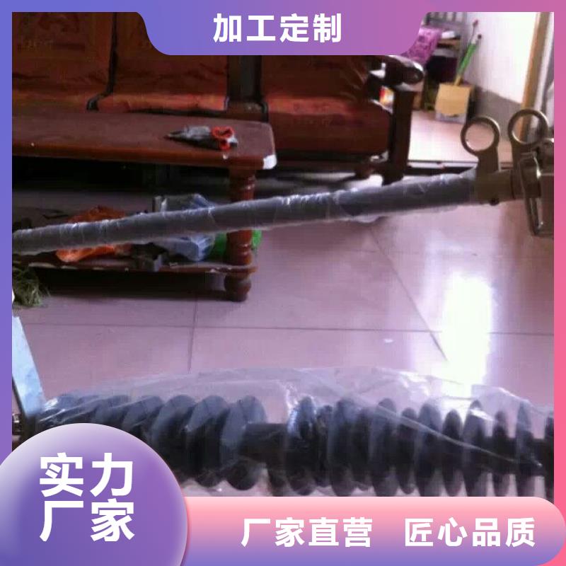 熔断器三相组合式避雷器现货齐全售后无忧