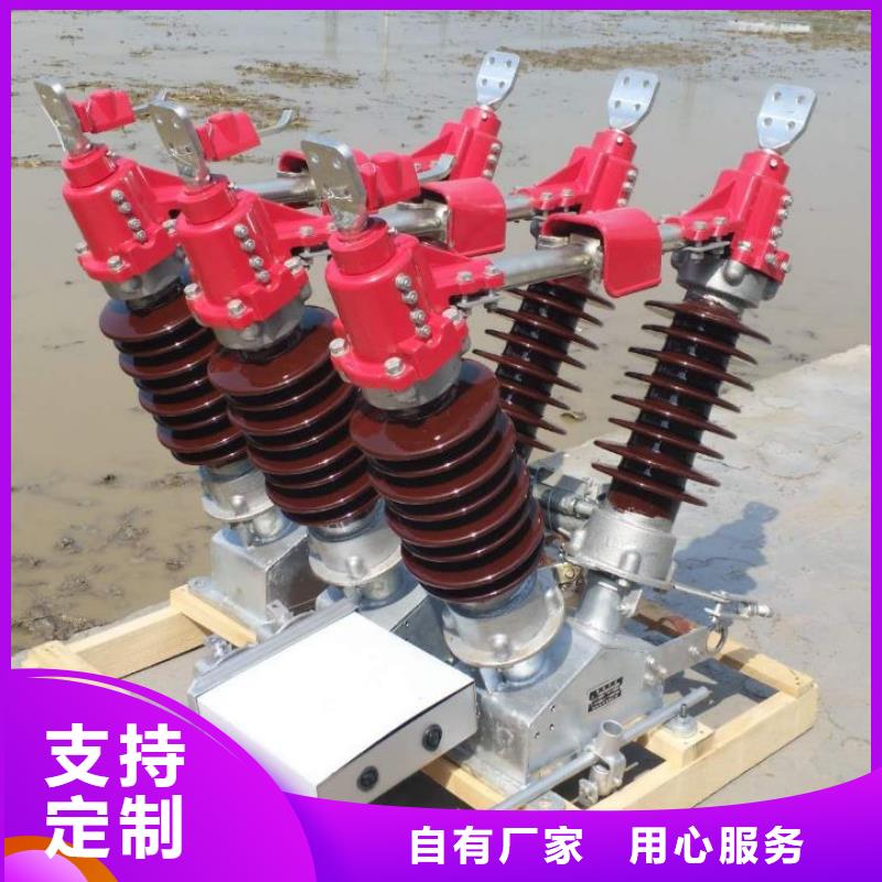 高压隔离开关HGW1-12/400A