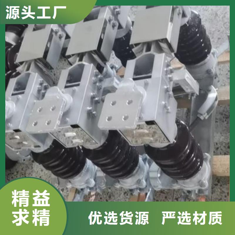 高压隔离开关HGW1-10KV/630A