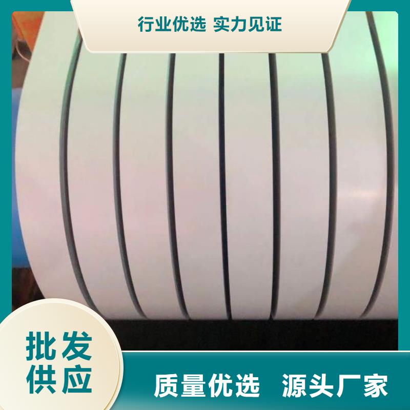 日金极薄硅钢GT040	GT0500.05*480*C