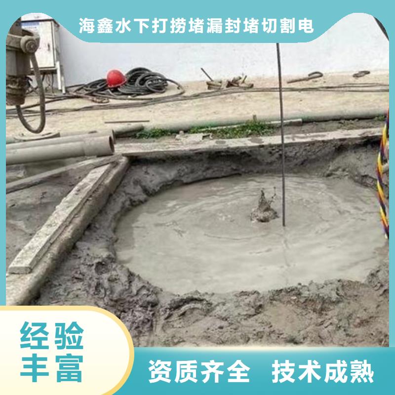 【水下 闸门水下检查维修一站式服务】