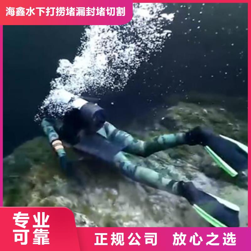 水下闸门水下检查维修方便快捷