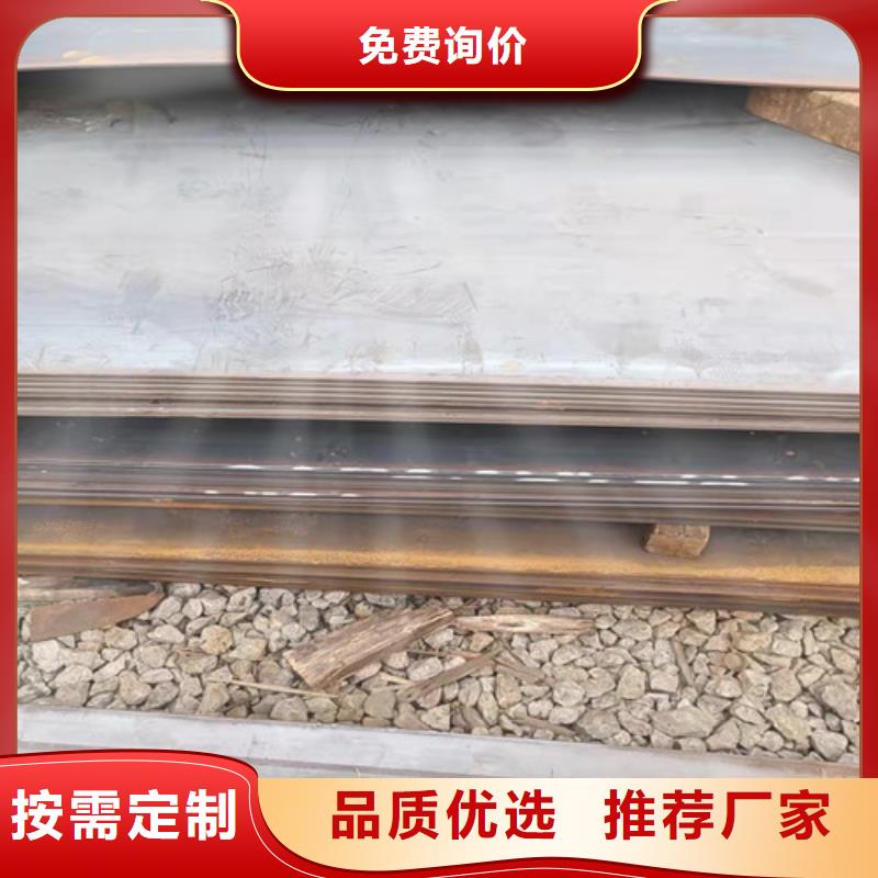 档尘板耐酸钢板	按需定制