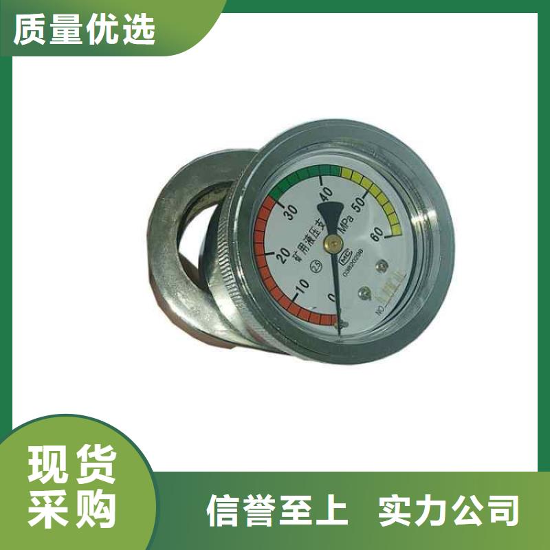 单体支柱测压仪-煤层注水表厂家型号齐全
