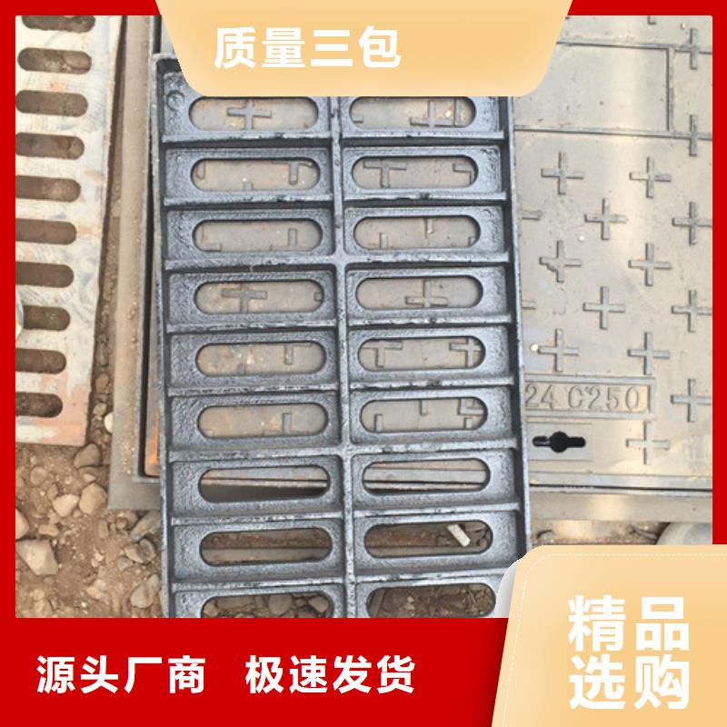 
球墨铸铁单篦250*500
-点击洽谈