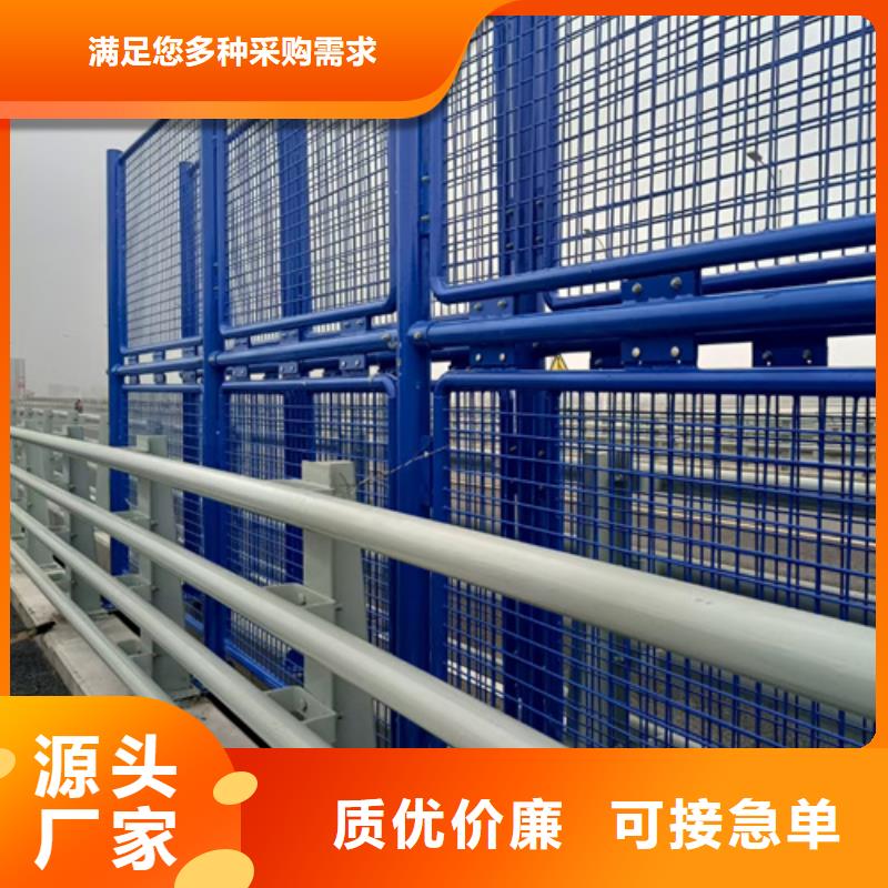 防撞护栏_路边防撞护栏敢与同行比服务
