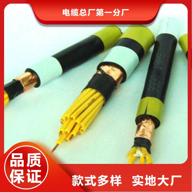 特种电缆电缆生产厂家口碑好实力强