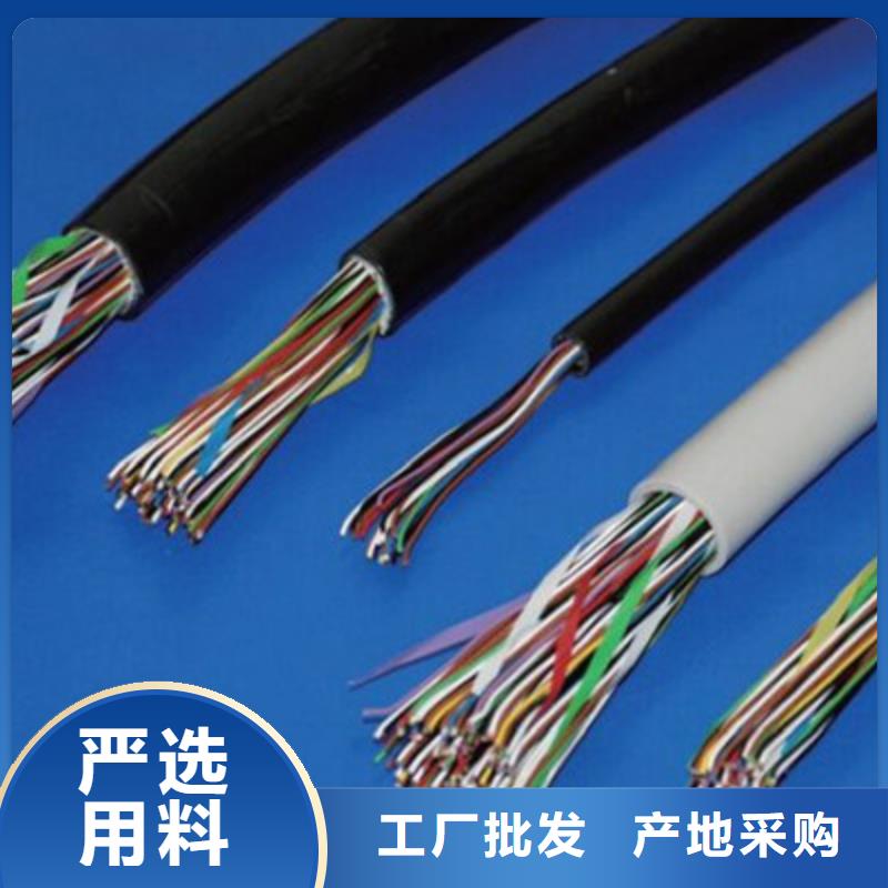 信号电缆视频-信号电缆-辽宁省营口市盖州|老边|沈阳|丹东|盘锦|抚顺(当地)供应商