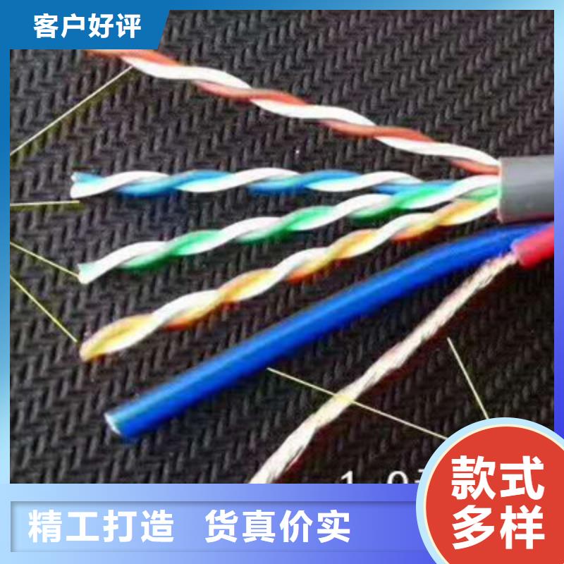 信号电缆视频-信号电缆-辽宁省营口市盖州|老边|沈阳|丹东|盘锦|抚顺(当地)供应商