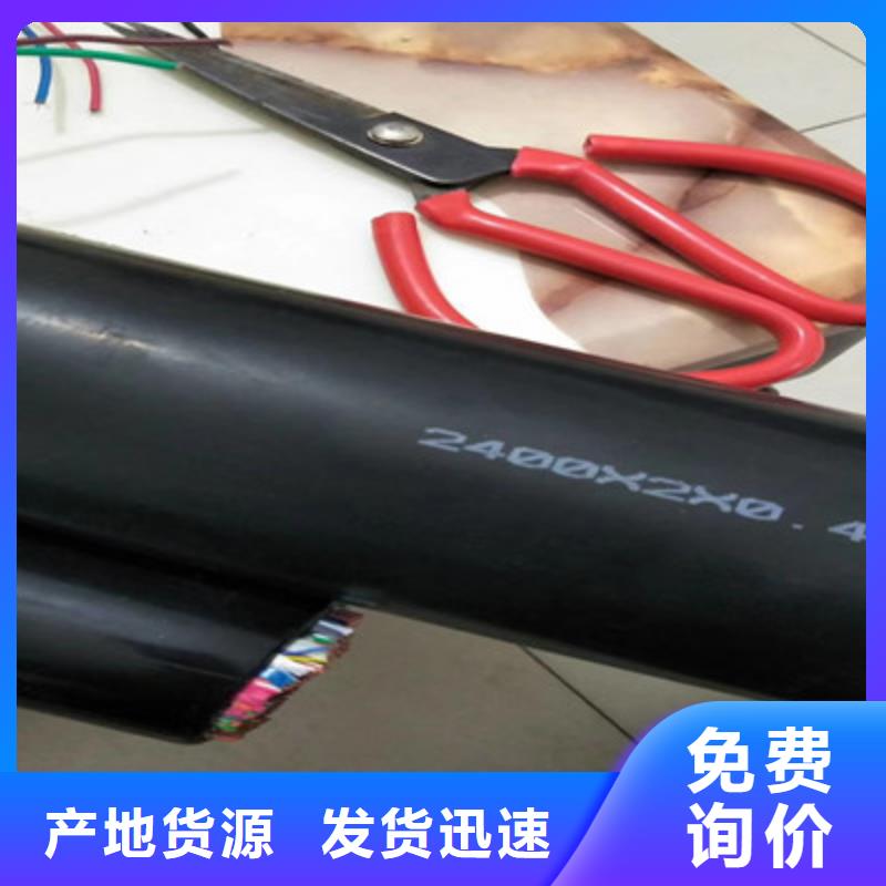 信号电缆视频-信号电缆-辽宁省营口市盖州|老边|沈阳|丹东|盘锦|抚顺(当地)供应商