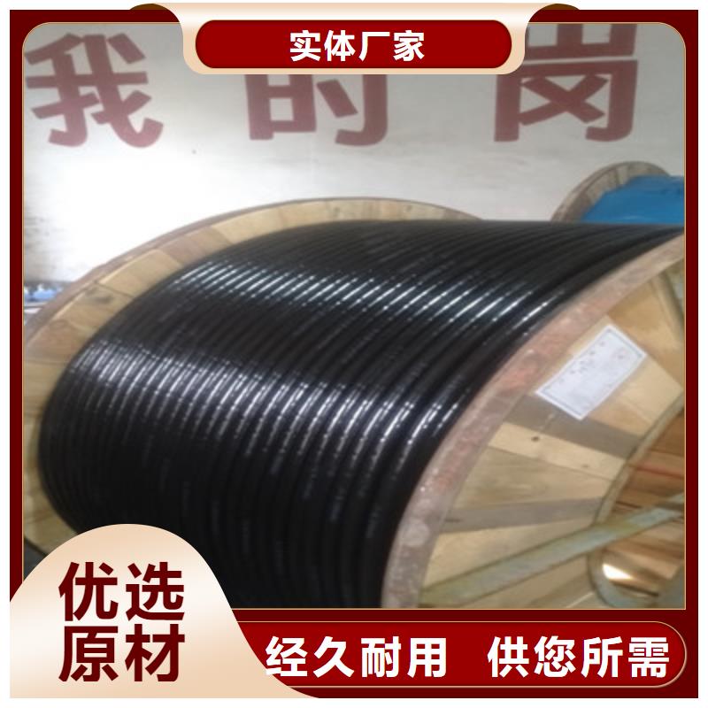 信号电缆视频-安宁|永登|嘉峪关|张掖|天水|武威|甘南|金昌|白银信号电缆免费获取报价-电缆总厂分厂(兰州市分公司)