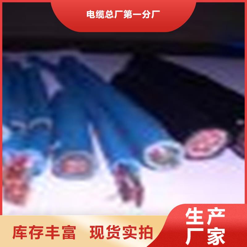 信号电缆视频-安宁|永登|嘉峪关|张掖|天水|武威|甘南|金昌|白银信号电缆免费获取报价-电缆总厂分厂(兰州市分公司)