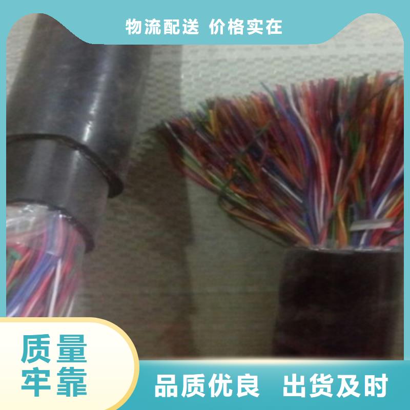 信号电缆视频-信号电缆-辽宁省营口市盖州|老边|沈阳|丹东|盘锦|抚顺(当地)供应商