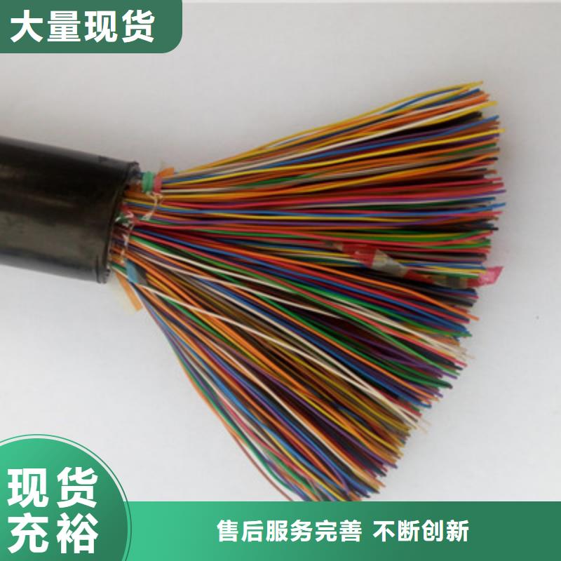 信号电缆视频-信号电缆-辽宁省营口市盖州|老边|沈阳|丹东|盘锦|抚顺(当地)供应商