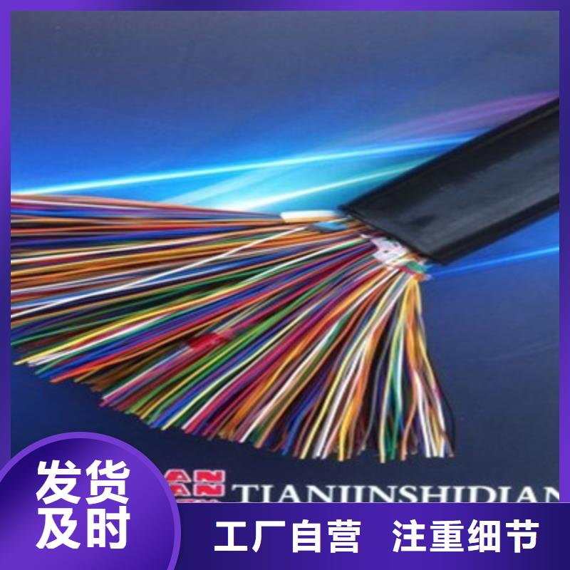 WDZBLSZHBUS低烟无卤绿电缆发货快