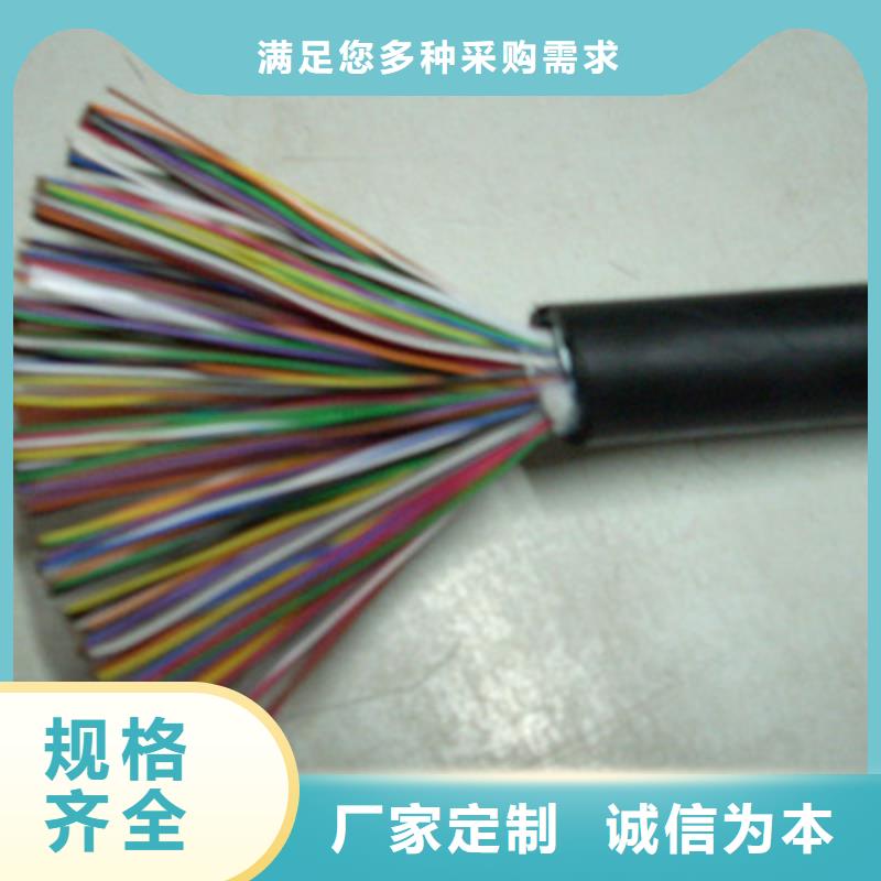 BVVSP软芯双绞电缆5对2.5
