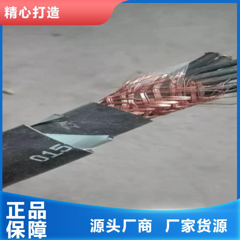 信号电缆视频-信号电缆|吉林省延边市|汪清|延吉|吉林|四平|通化|长春|辽源