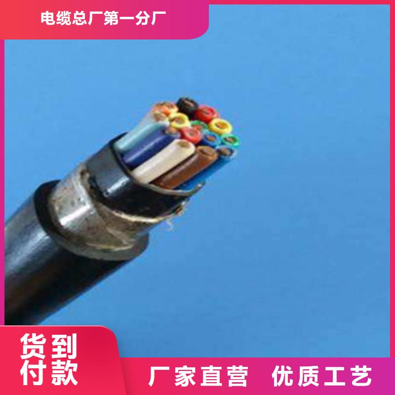 控制电缆通信电缆打造行业品质