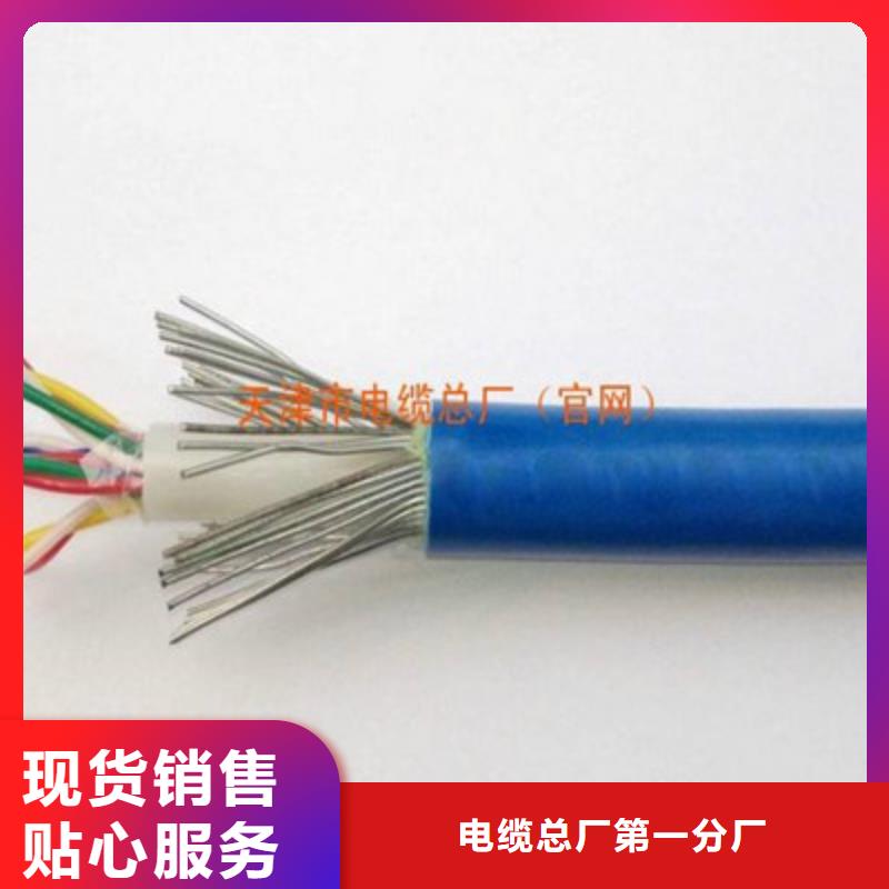 信号电缆视频-内蒙古信号电缆-(本地)可服务区域鄂尔多斯|兴安|通辽|阿拉善|呼伦贝尔|包头