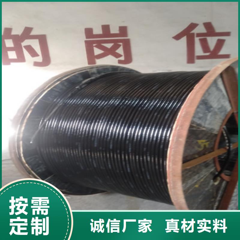 耐高温电缆,【屏蔽电缆】质量无忧 电缆总厂分厂(呼伦贝尔市分公司)