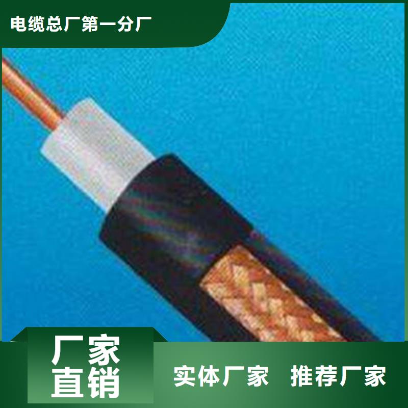 信号电缆视频-名山|雨城|内江|阿坝|泸州|成都信号电缆诚信经营-电缆总厂分厂(雅安市分公司)