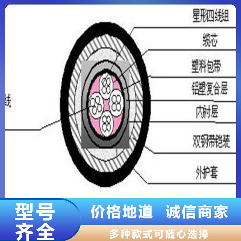 信号电缆视频-信号电缆_云南省文山市市场覆盖富宁|麻栗坡|曲靖|红河|普洱|西双版纳|丽江|昭通|玉溪等