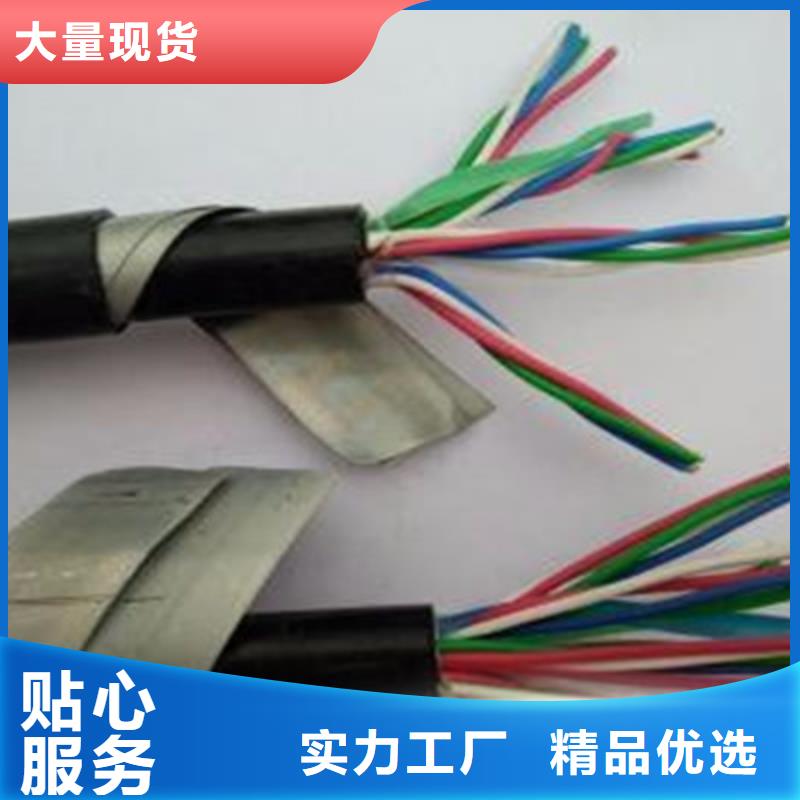 信号电缆视频-信号电缆_云南省文山市市场覆盖富宁|麻栗坡|曲靖|红河|普洱|西双版纳|丽江|昭通|玉溪等