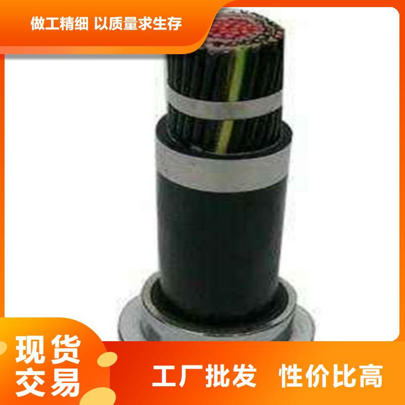 信号电缆视频-信号电缆_甘肃省临夏市市场覆盖永靖|广河|庆阳|金昌|白银|武威|甘南|天水|张掖等