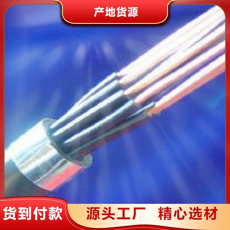 信号电缆视频-信号电缆_甘肃省临夏市市场覆盖永靖|广河|庆阳|金昌|白银|武威|甘南|天水|张掖等