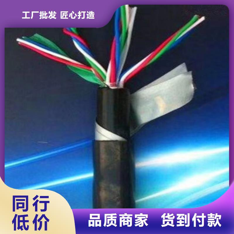 信号电缆视频-信号电缆_甘肃省临夏市市场覆盖永靖|广河|庆阳|金昌|白银|武威|甘南|天水|张掖等