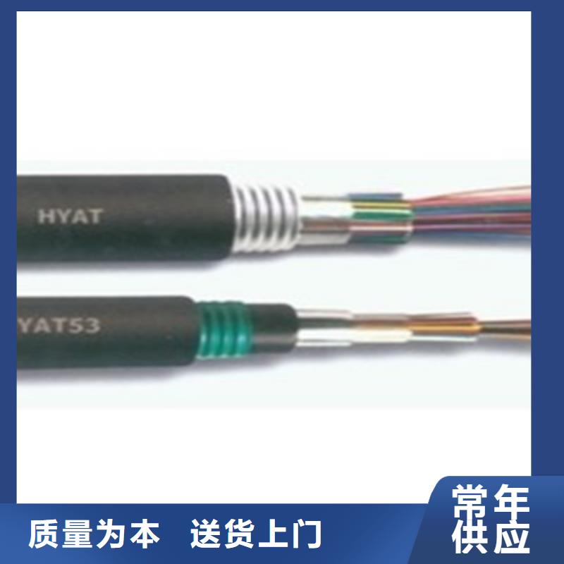 铁路信号电缆信号电缆来图加工定制