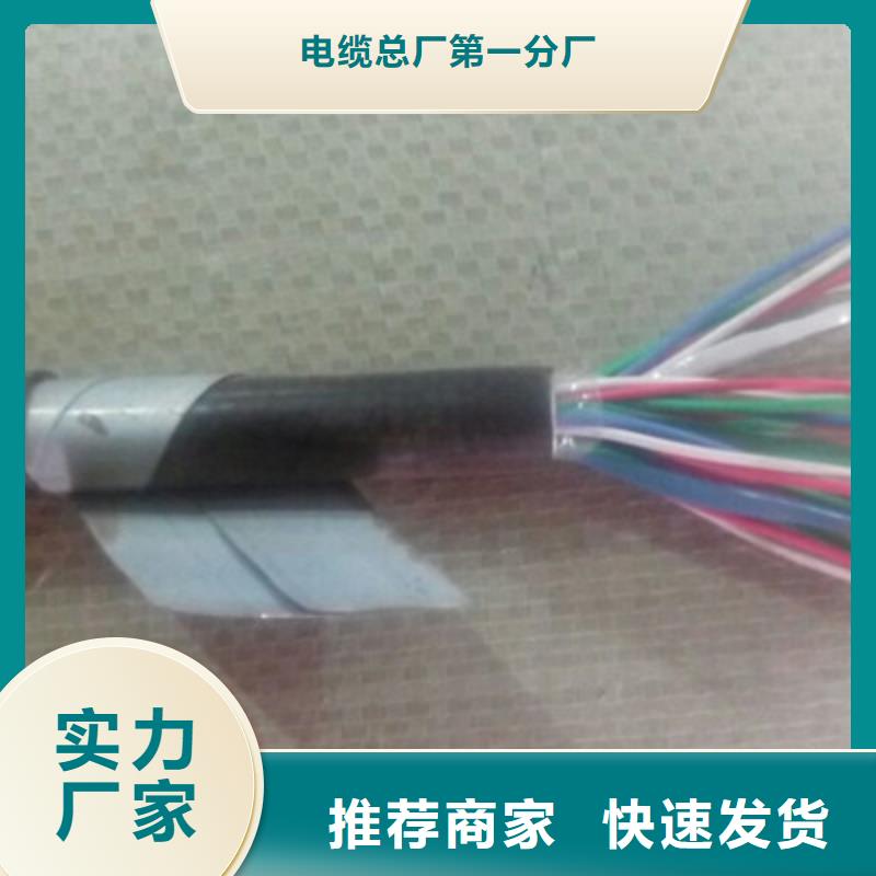 信号电缆视频-信号电缆_云南省文山市市场覆盖富宁|麻栗坡|曲靖|红河|普洱|西双版纳|丽江|昭通|玉溪等