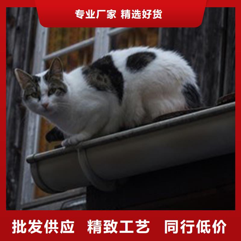 雨水槽安装