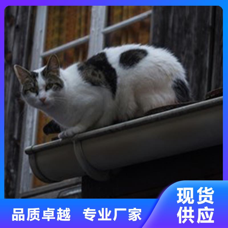 天沟 方形雨水管用心做好每一件产品