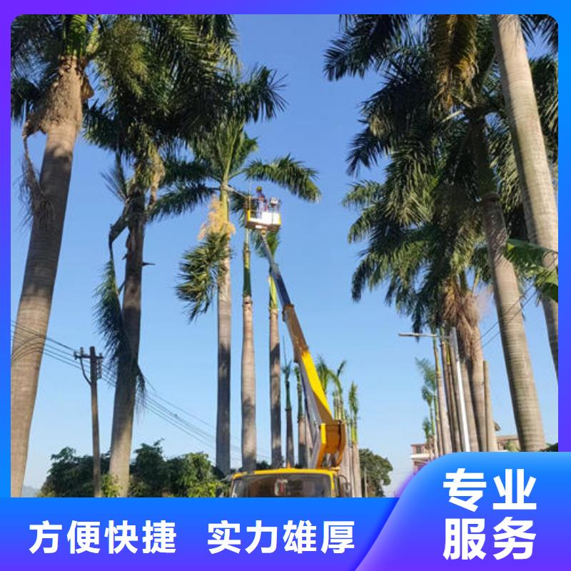 升降车出租 视频-升降车出租 _内蒙古乌兰察布市市场覆盖鄂尔多斯|阿拉善|兴安|赤峰|通辽|乌海等