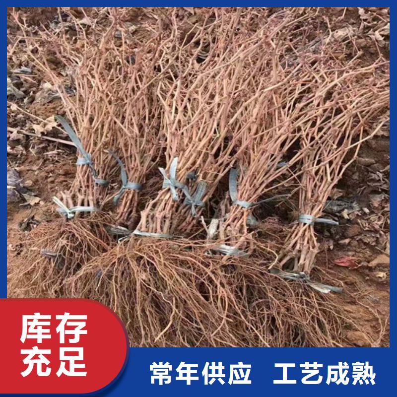 果树苗视频-涟源|冷水江|湘西|永州|张家界|常德广祥果树苗_ 广祥农业科技(娄底市分公司)