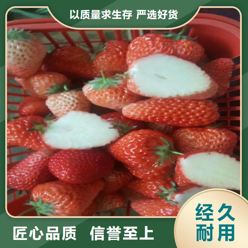 果树苗视频-连云|东海|无锡|扬州|徐州|常州|淮安|南京广祥果树苗_ 广祥农业科技(连云港市分公司)