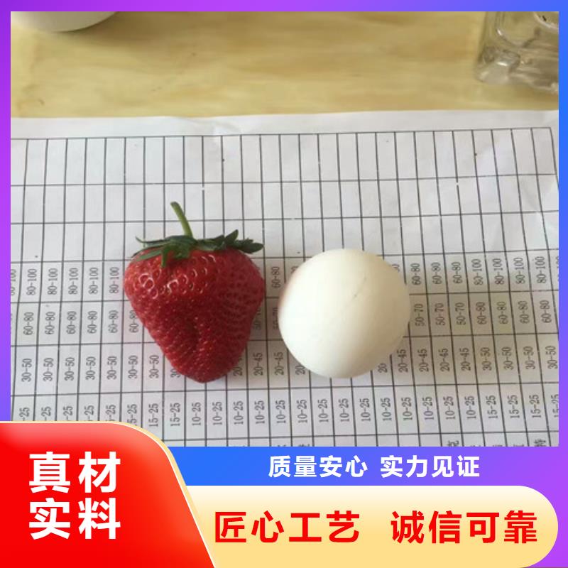 果树苗视频-果树苗-安徽省巢湖市本地品牌-合肥|淮南|六安|滁州|黄山
