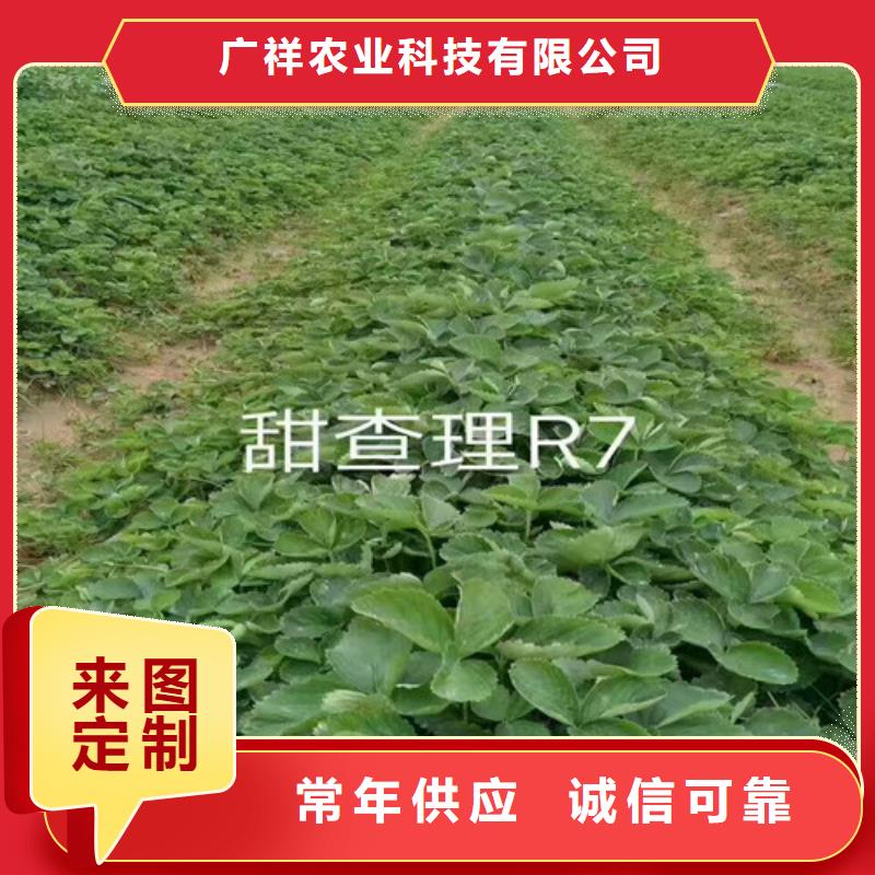 果树苗视频-连云|东海|无锡|扬州|徐州|常州|淮安|南京广祥果树苗_ 广祥农业科技(连云港市分公司)