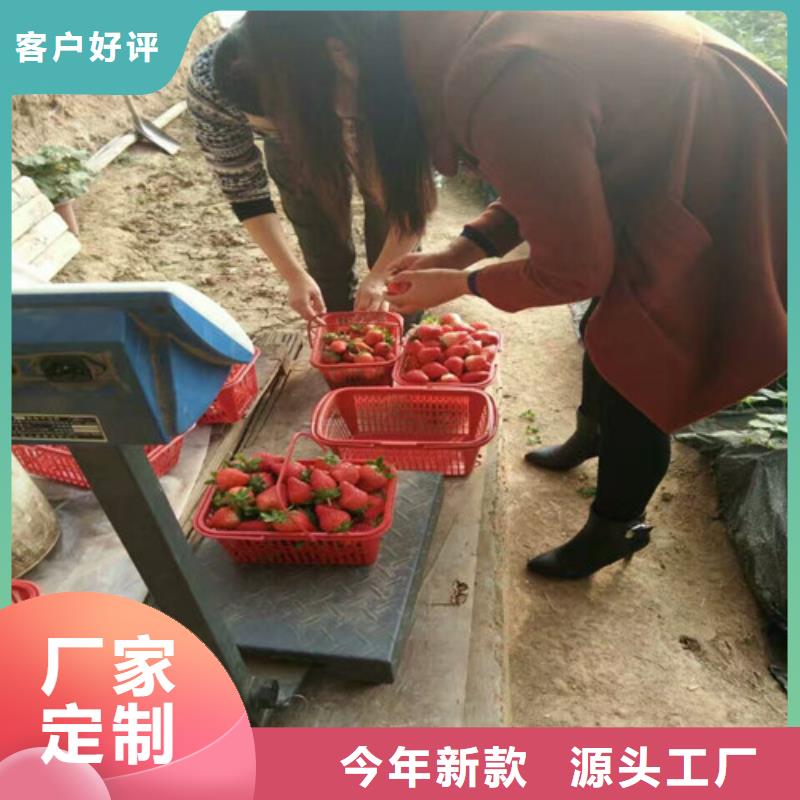 果树苗视频-果树苗-安徽省巢湖市本地品牌-合肥|淮南|六安|滁州|黄山
