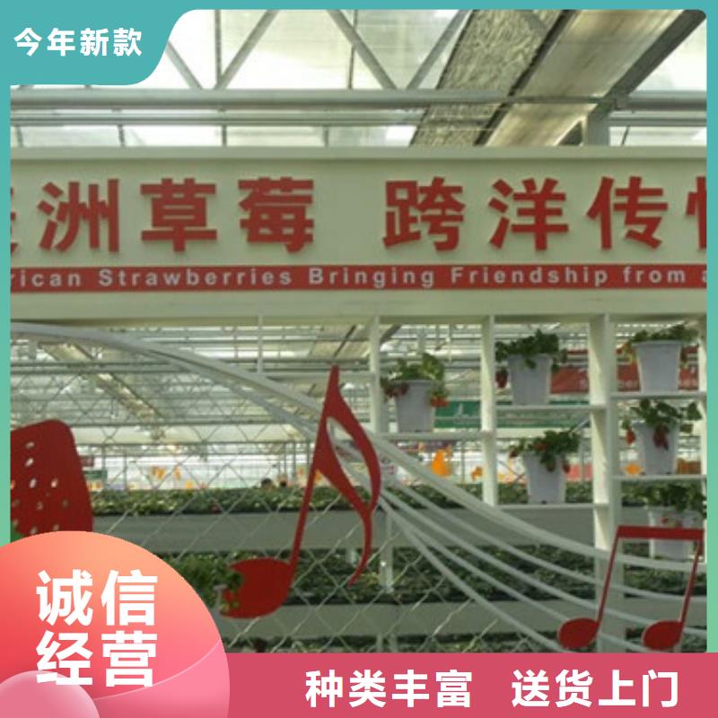 果树苗视频-果树苗-安徽省巢湖市本地品牌-合肥|淮南|六安|滁州|黄山