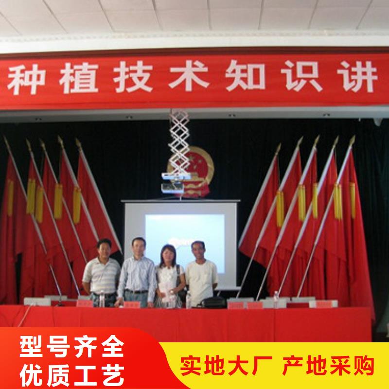 草莓苗红富士苹果树苗实体厂家大量现货