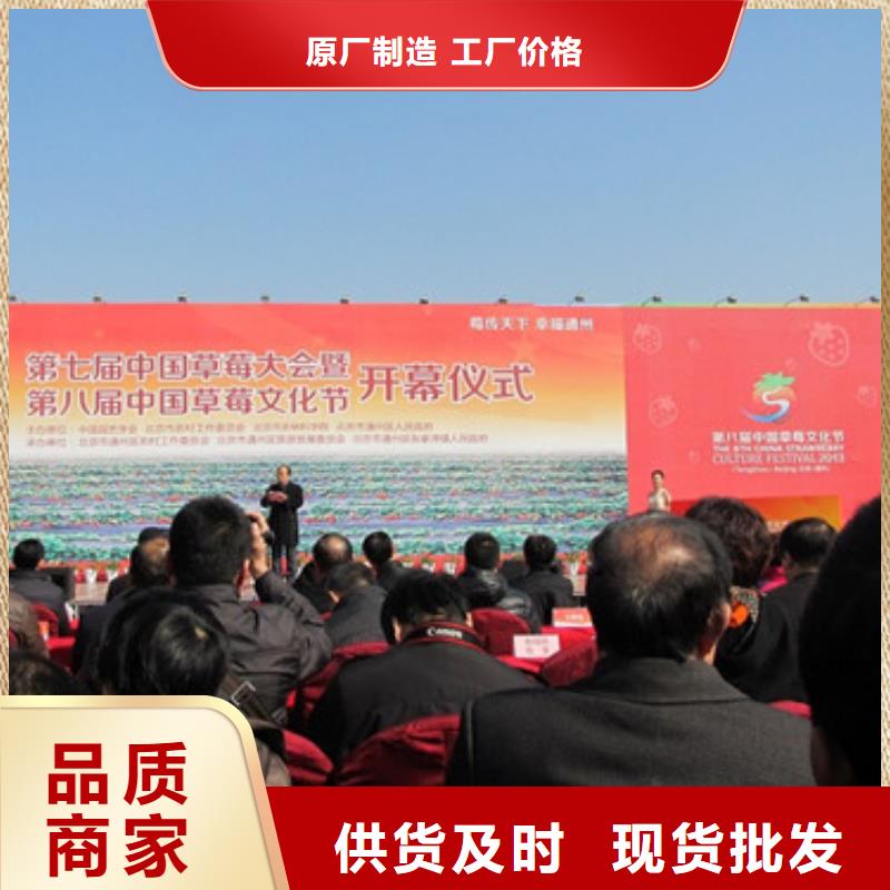 草莓苗蟠枣树苗甄选好厂家