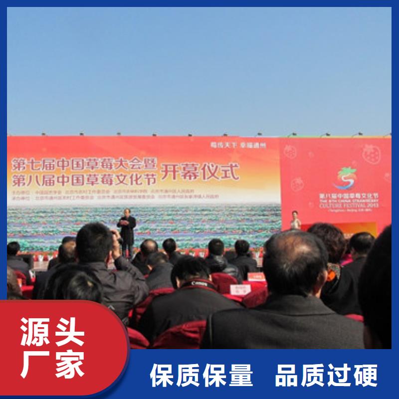 草莓苗-蟠枣树苗可定制有保障