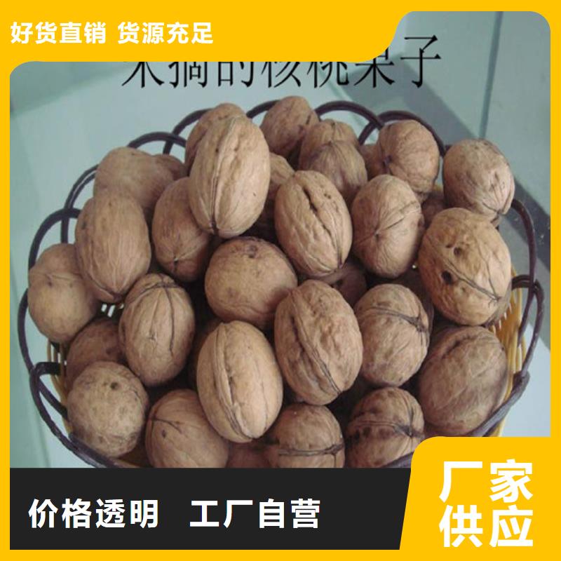 【 核桃苗-无籽葡萄树苗源厂定制】来电咨询