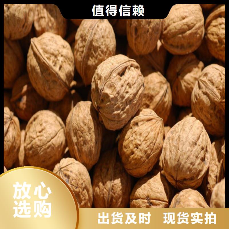 核桃苗_梨树苗基地匠心工艺